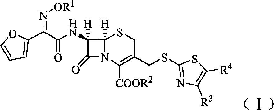 Cephalosporin derivatives