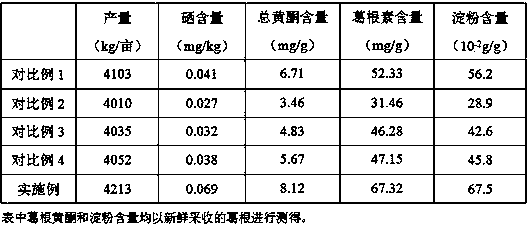 Natural Se-enriched radix puerariae planting method