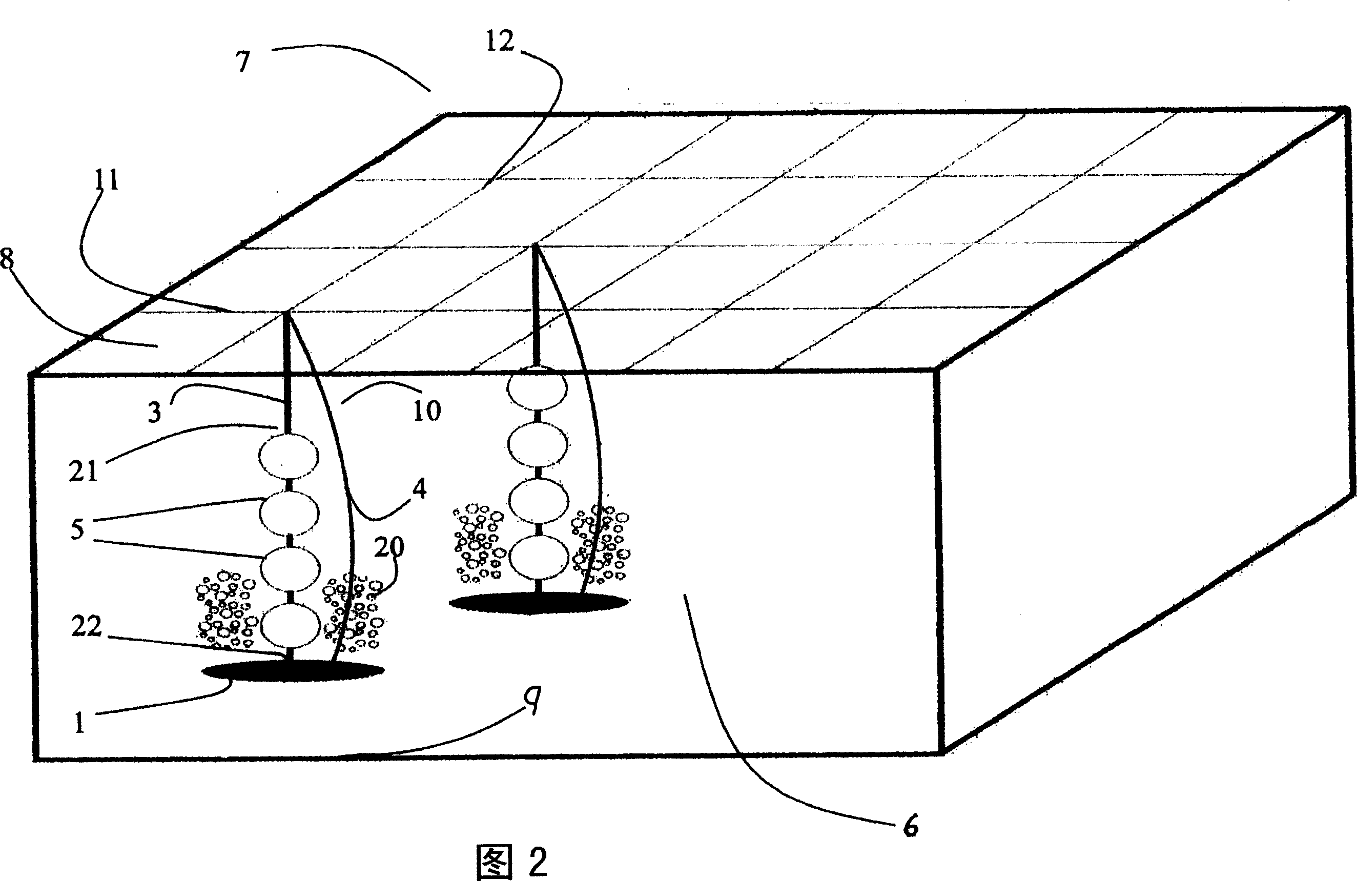 Device combining air feeding and biological connection and the formed water purifying system