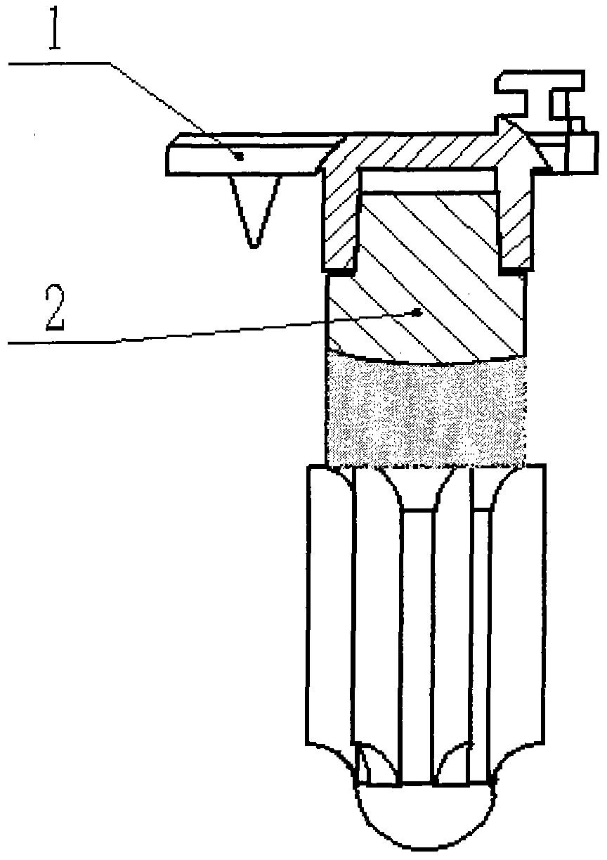 Biological fixation type tibia platform