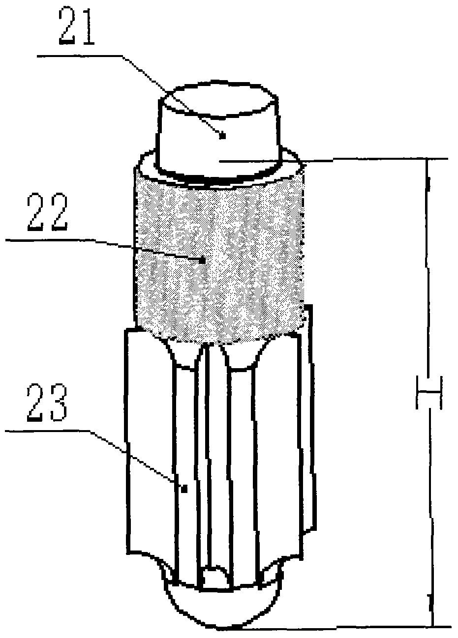 Biological fixation type tibia platform