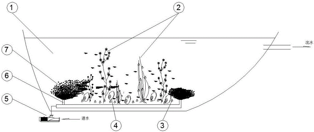 Biosorption system