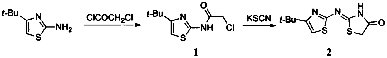 Application of 2-[(4-tert-butylthiazol-2-yl]imino]thiazoline-4-one in pharmacy