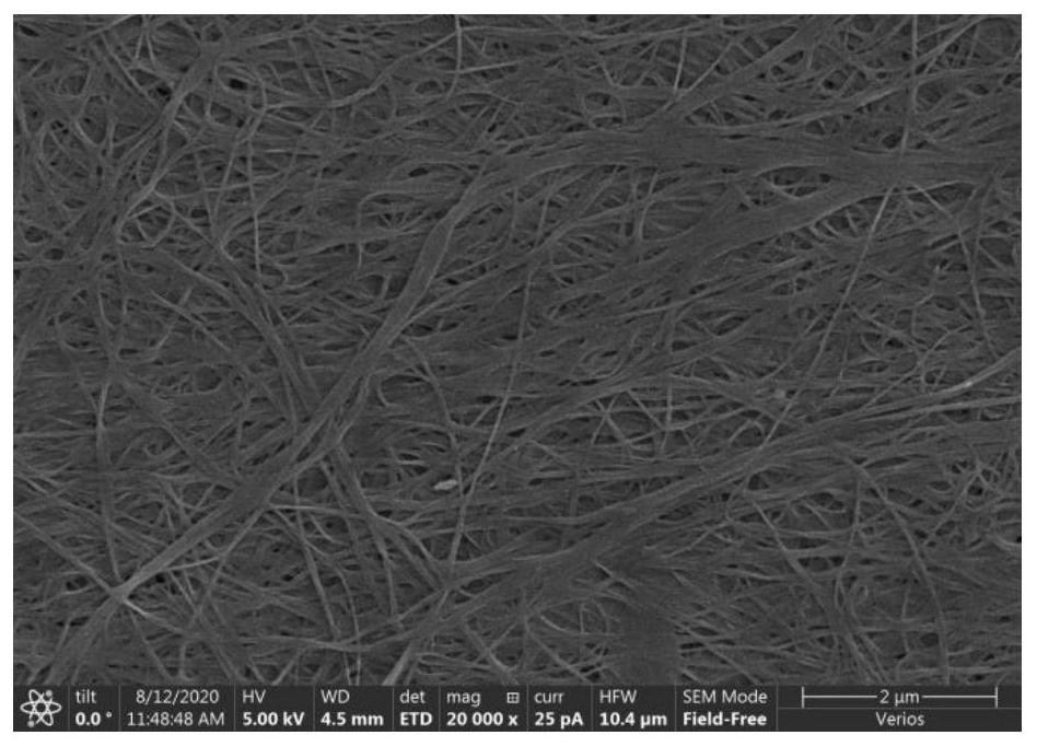 Preparation method of photo-thermal sensitive composite bacterial cellulose antibacterial dressing