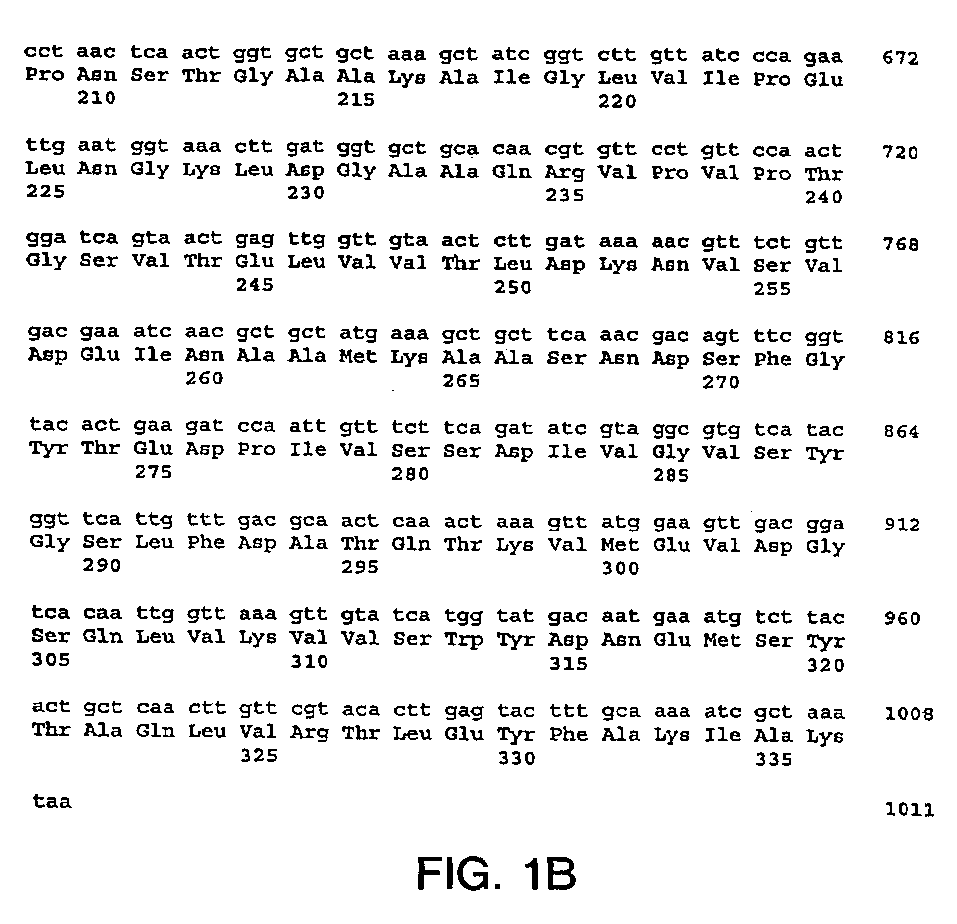 Immunization of dairy cattle with chimeric GapC protein against Streptococcus infection