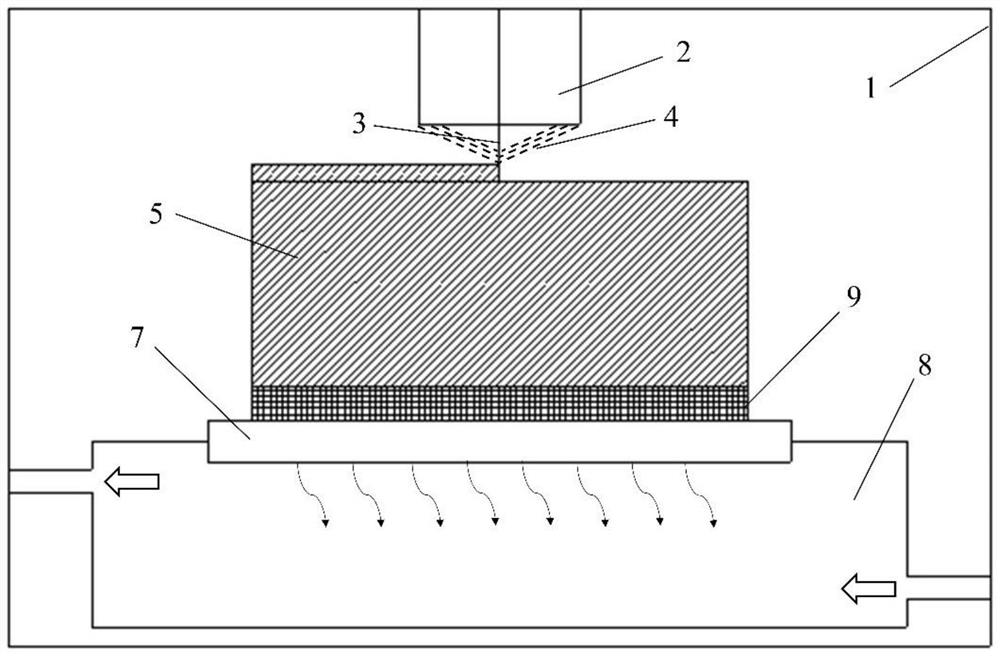 Additive manufacturing method for magnesium alloy directional solidification crystal or single crystal