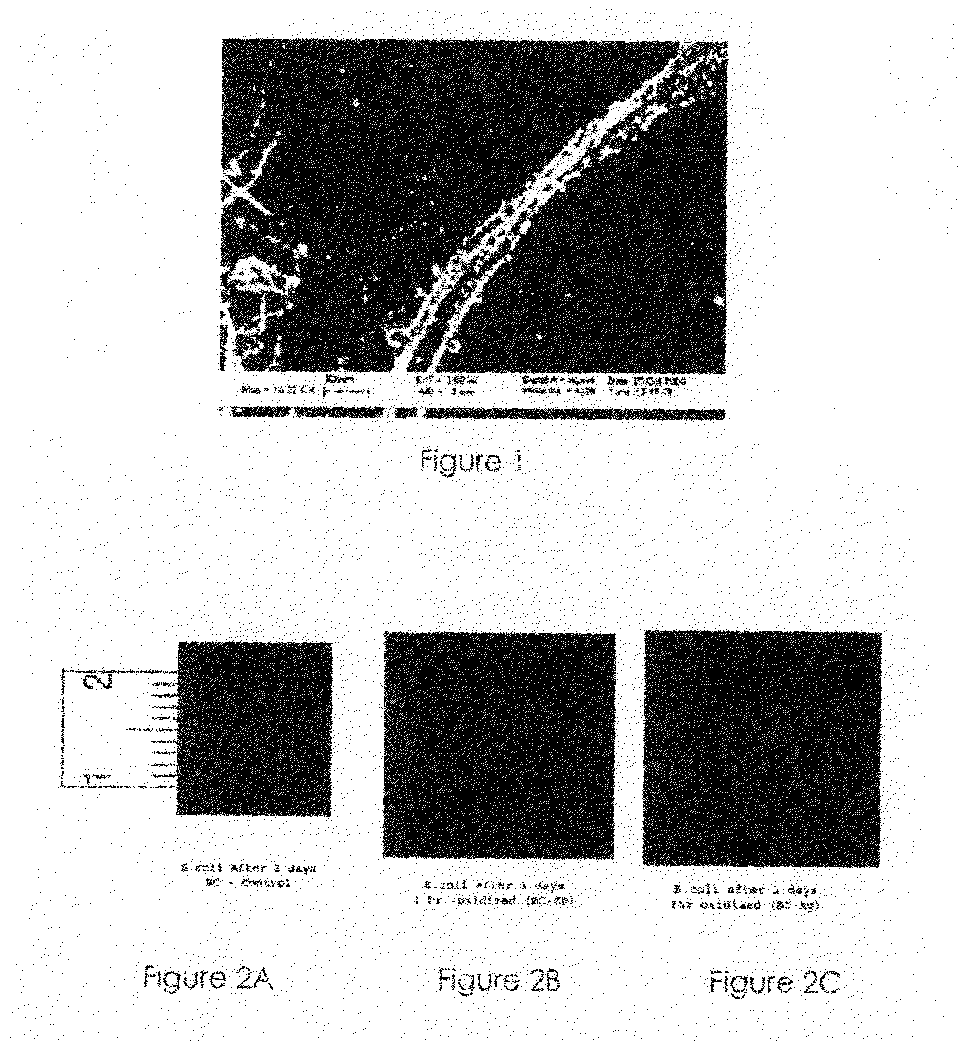 Nanosilver Coated Bacterial Cellulose