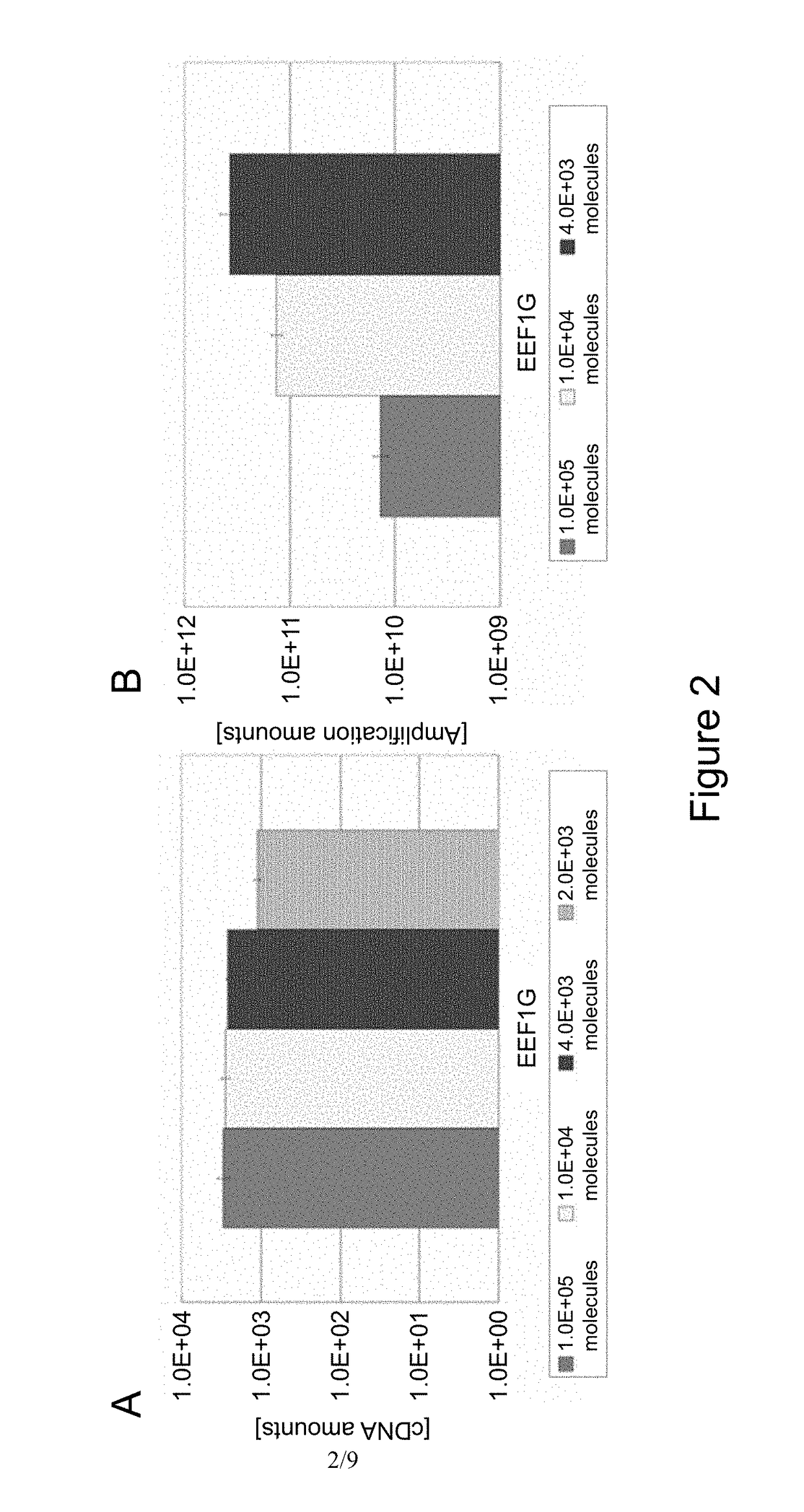 Method for amplifying cDNA derived from trace amount of sample