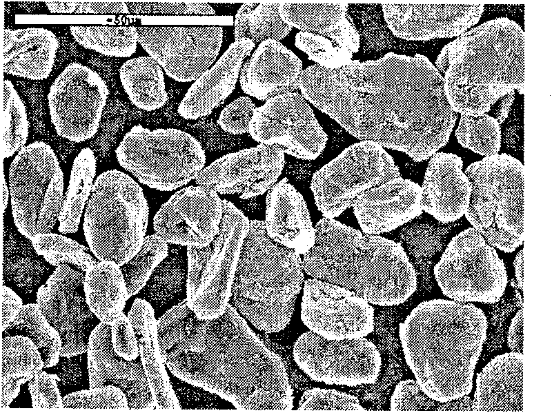 Graphitic cladding method by nano-scale mesophase asphalt