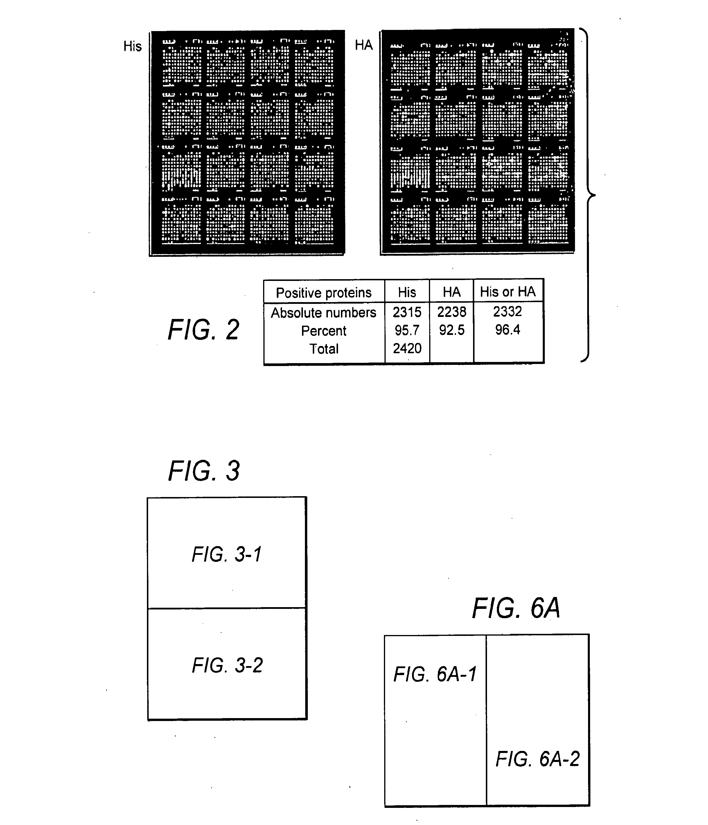 Methods and compositions of protein antigens for the diagnosis and treatment of leptospirosis