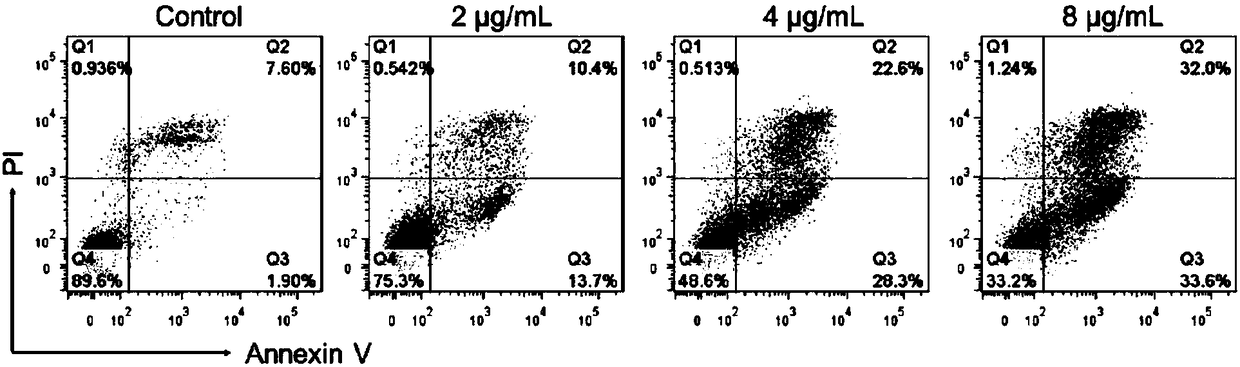 Application of phosphorus-based material in preparing medicine for treating tumor