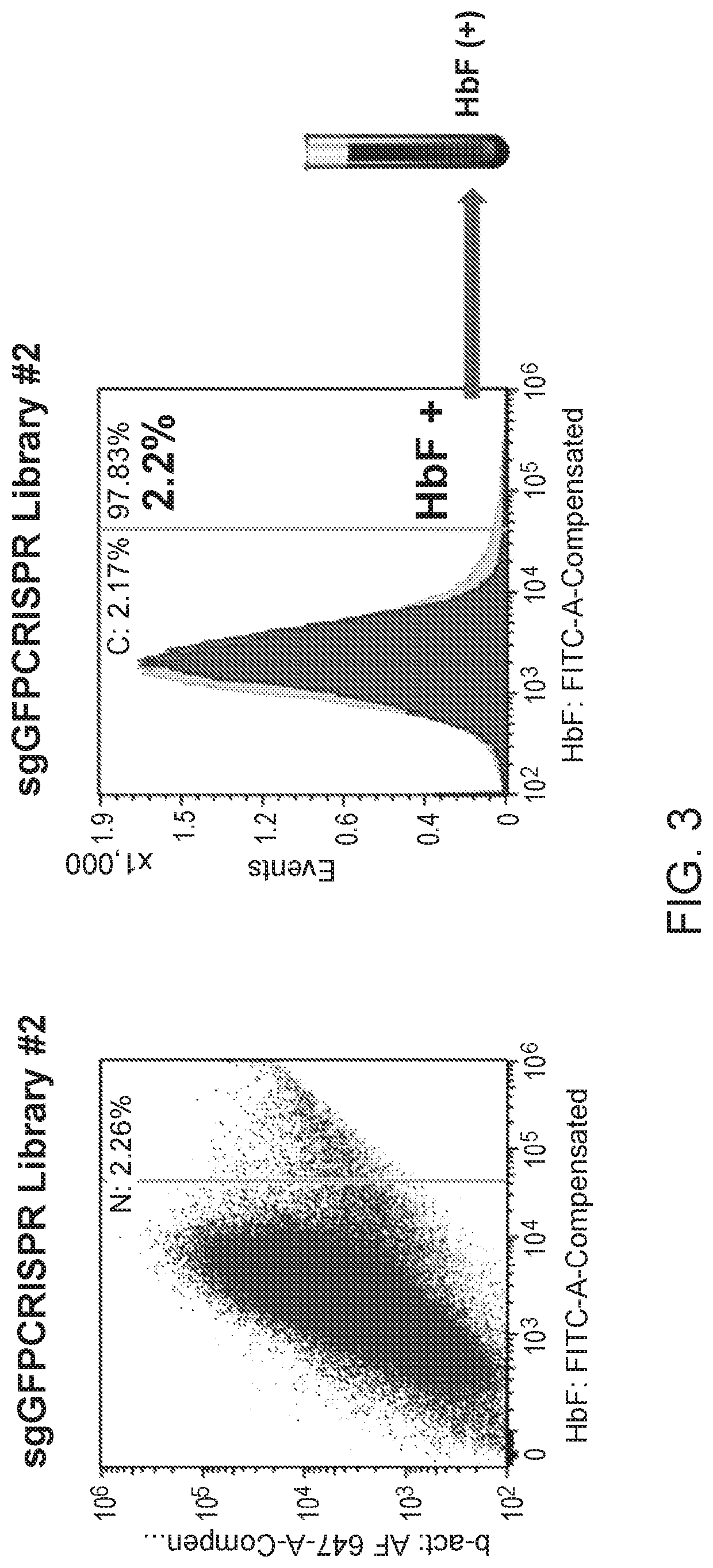 Compositions and methods for increasing fetal hemoglobin and treating sickle cell disease