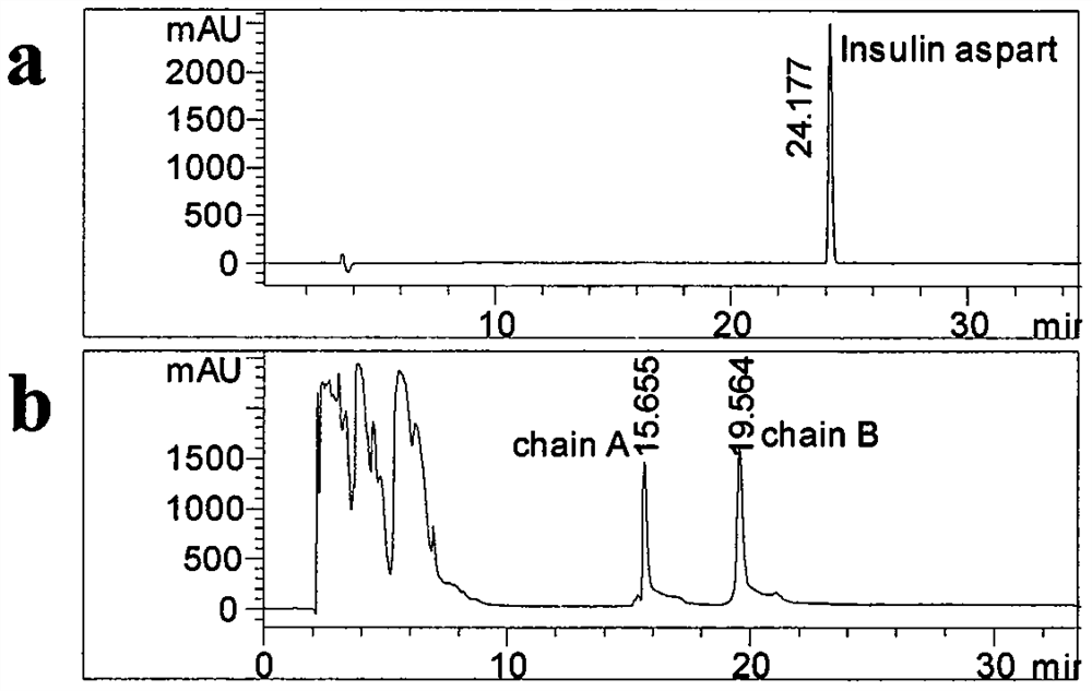 Online alkylation and HPLC chain dismounting method for analyzing N-terminal sequences of human insulin and analogues thereof