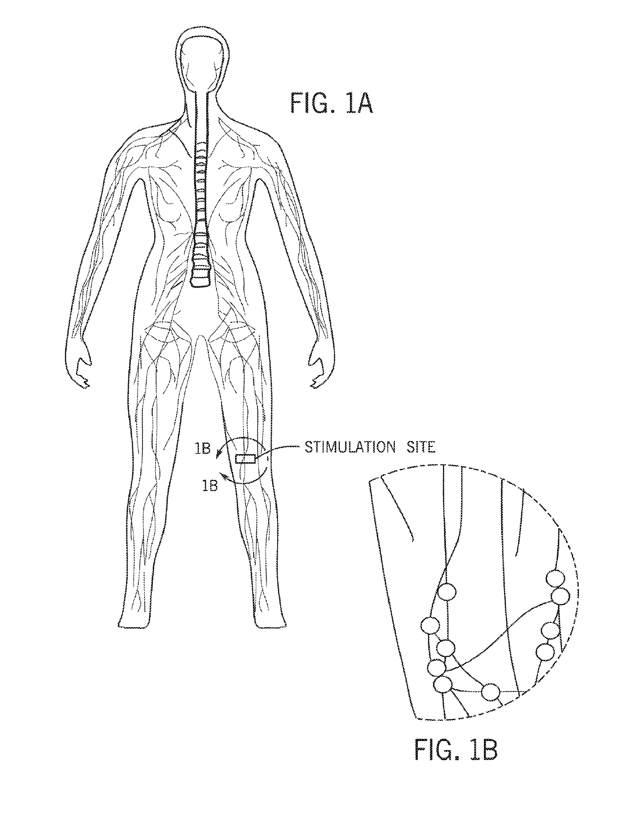 Techniques for neuromodulation