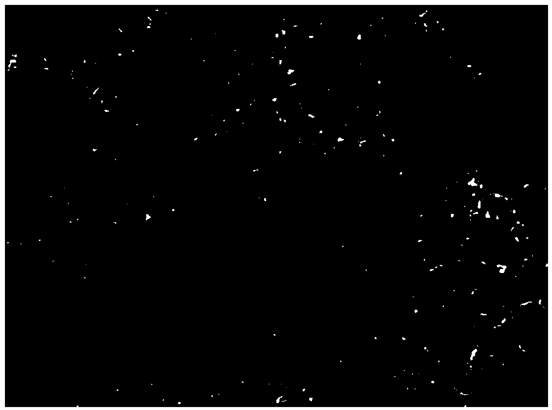 Preparation method of siliceous mesocellular foams (MCFs) loaded nano Ni2P hydrogenation catalyst