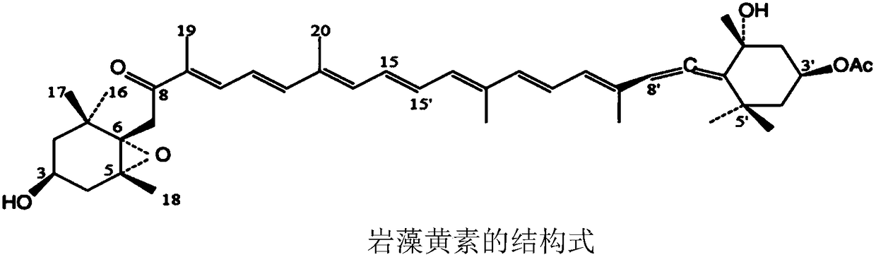 Method for extracting fucoxanthin from phaeodactylum tricornutum with dimethyl ether fluid