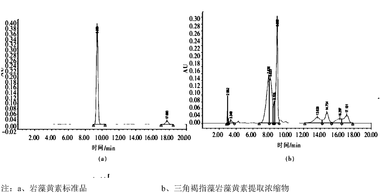 Method for extracting fucoxanthin from phaeodactylum tricornutum with dimethyl ether fluid