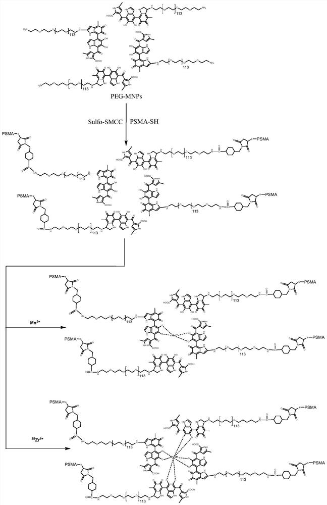 Trimodal prostate cancer targeting nanoparticle imaging agent and preparation method thereof