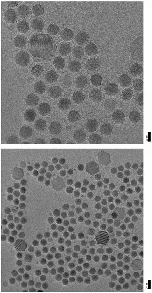 Trimodal prostate cancer targeting nanoparticle imaging agent and preparation method thereof