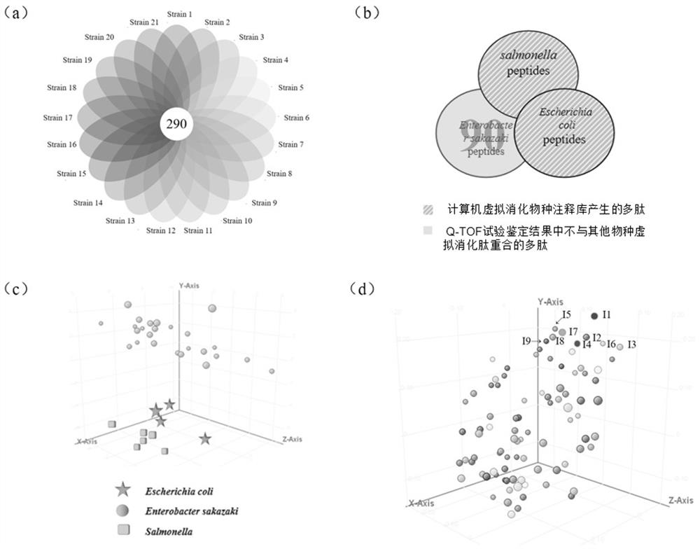 Novel method for detecting enterobacter sakazakii, application and detection kit