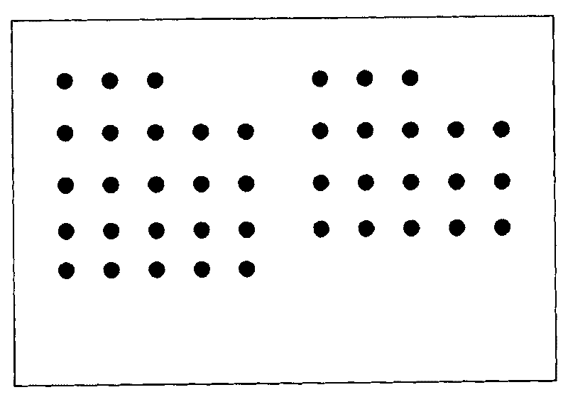 Lupus erythematosus detection protein chip and kit thereof