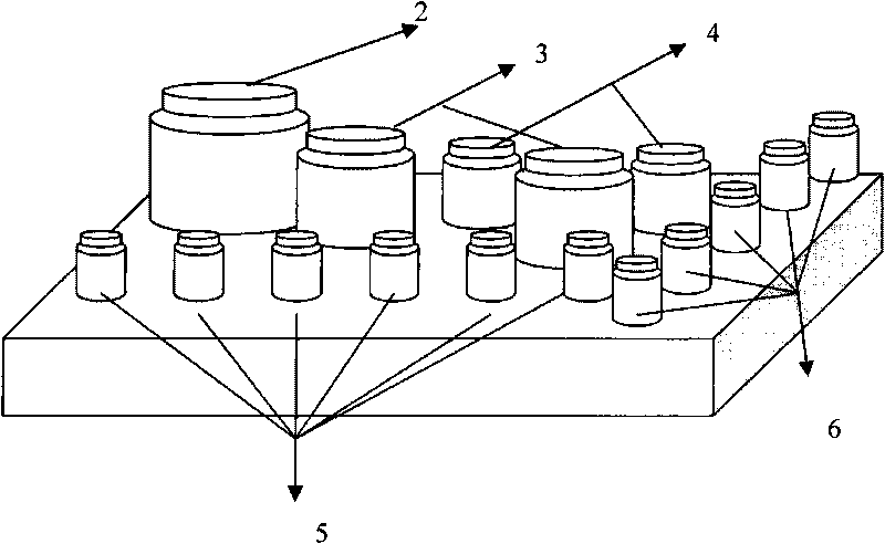 Lupus erythematosus detection protein chip and kit thereof