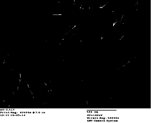 A kind of preparation method of leaf-shaped nanometer gamma-alumina