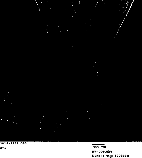 A kind of preparation method of leaf-shaped nanometer gamma-alumina