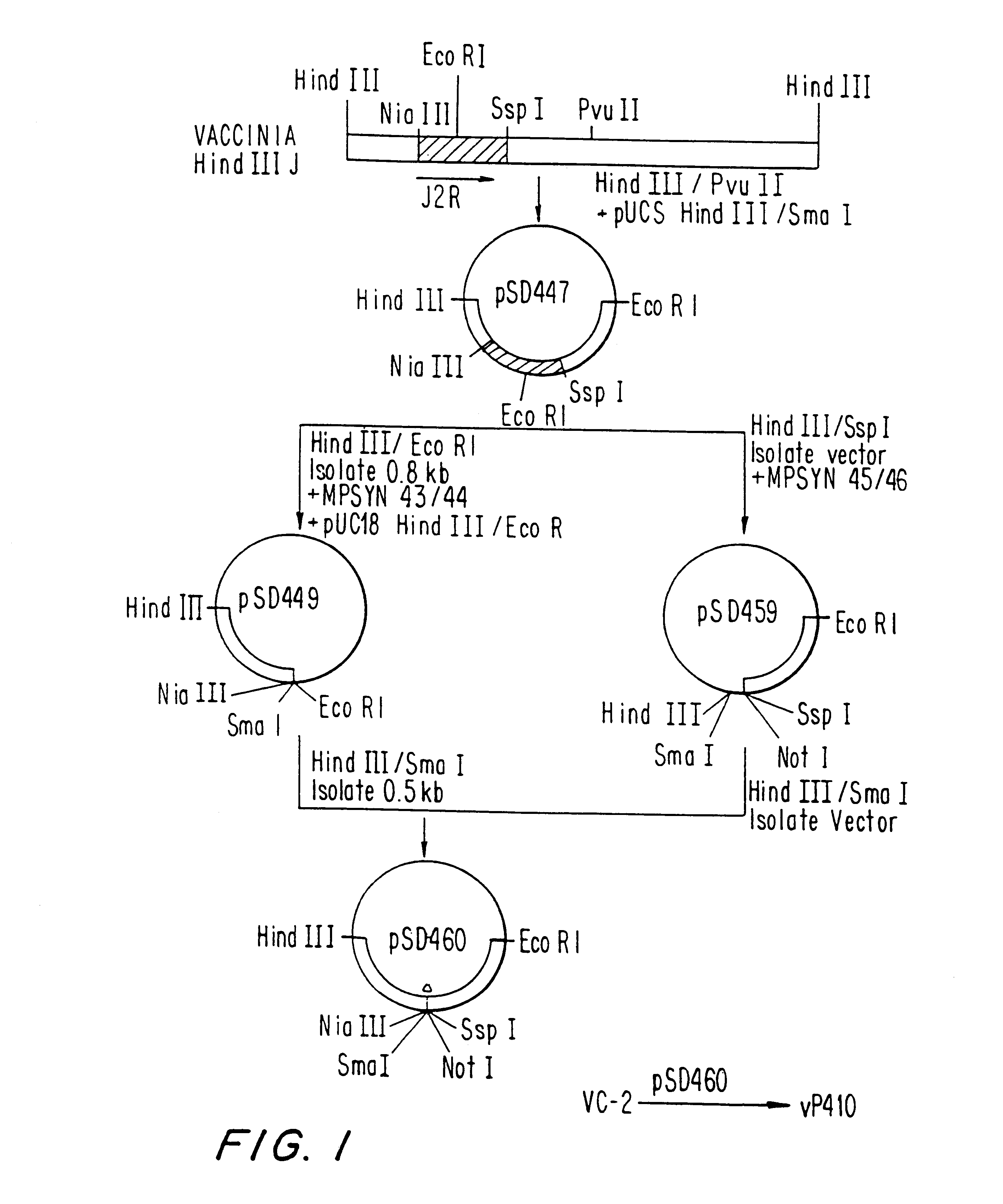 Immunodeficiency recombinant poxvirus