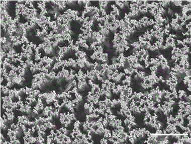 A method for removing defect layers on the surface of silicon nanowire solar cells by oxidation and etching