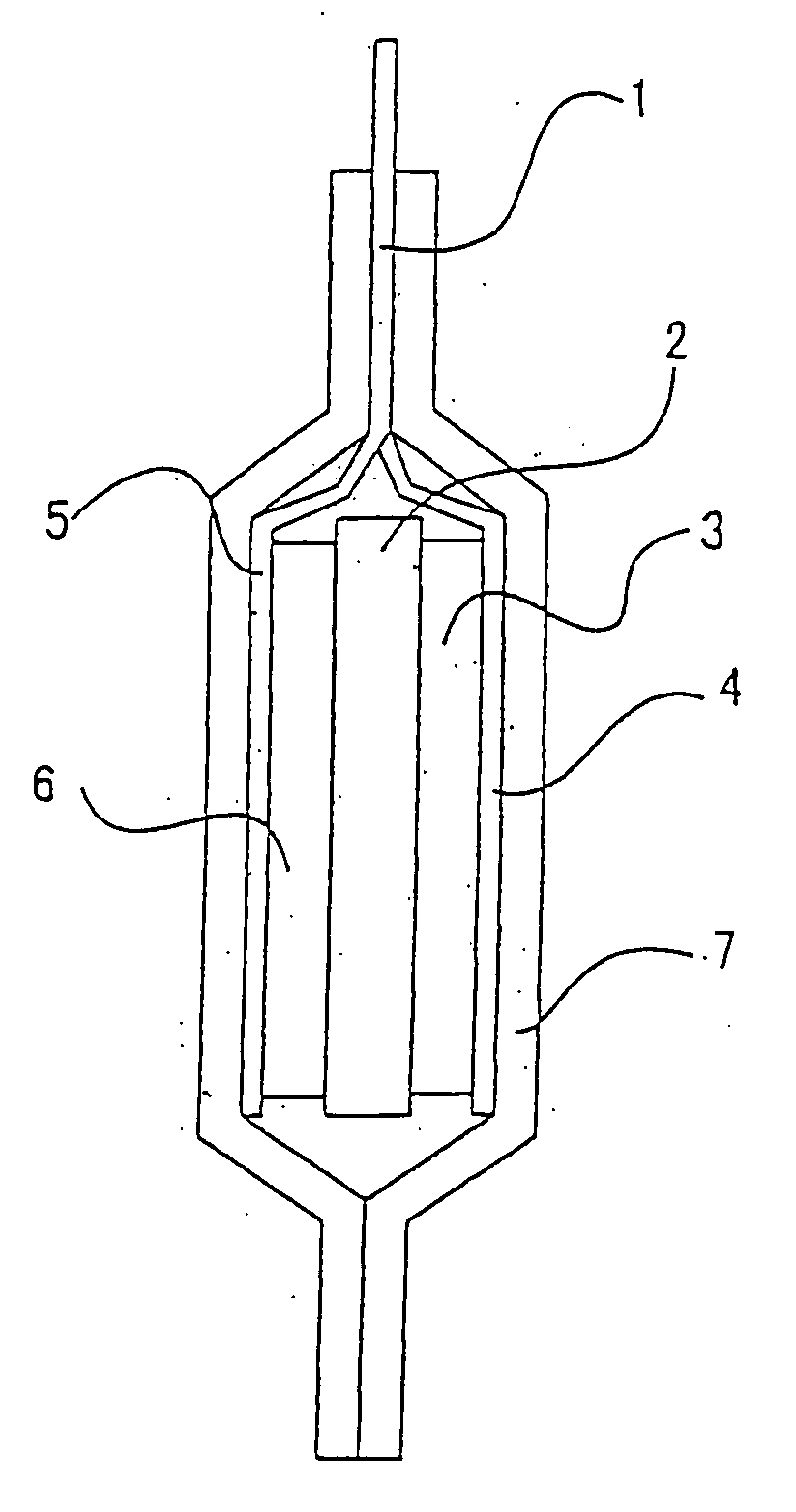 Lithium polymer secondary cell