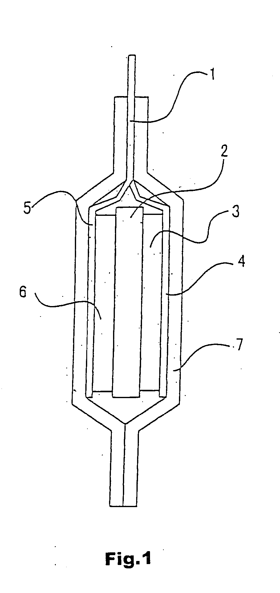 Lithium polymer secondary cell