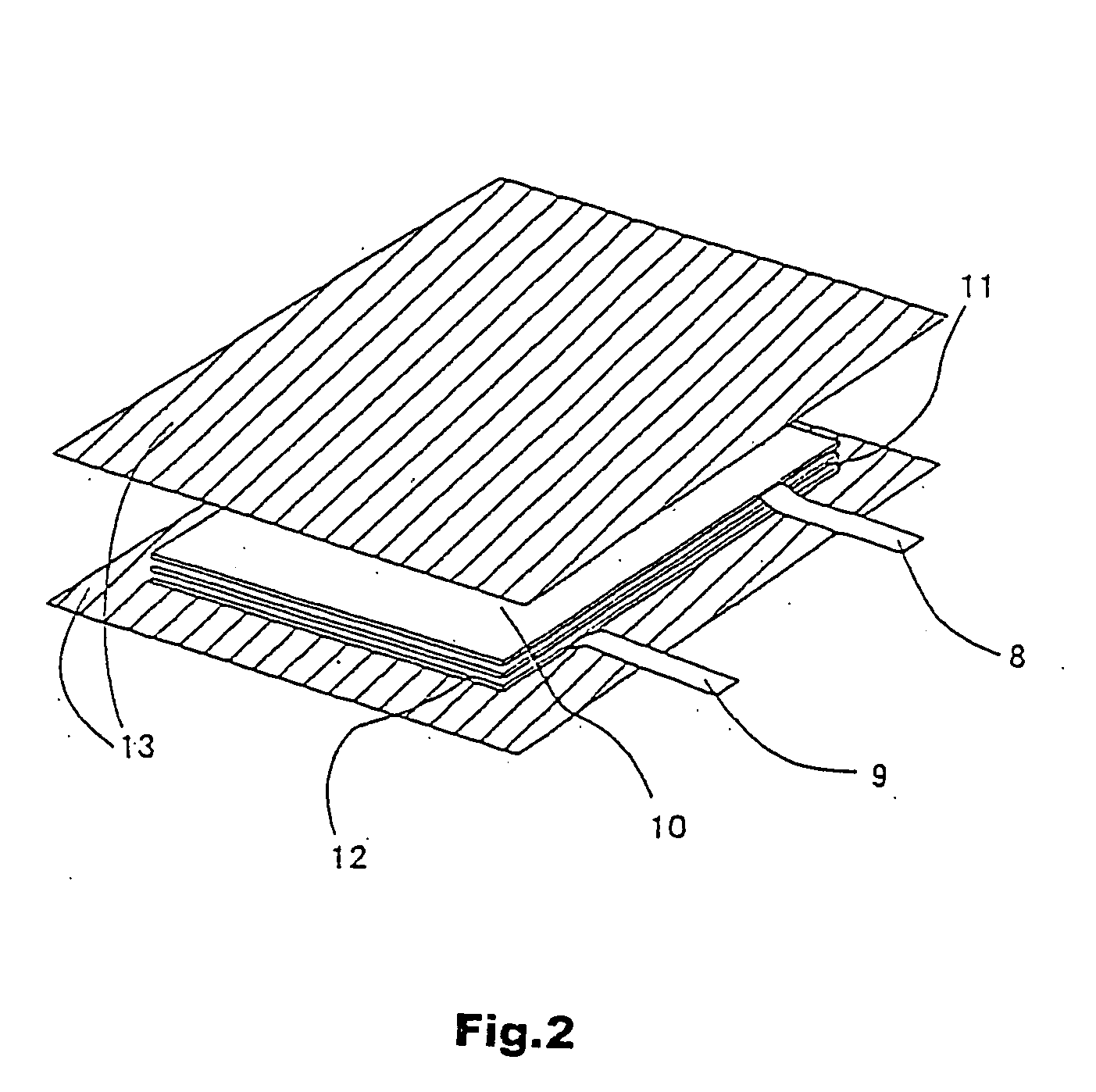 Lithium polymer secondary cell