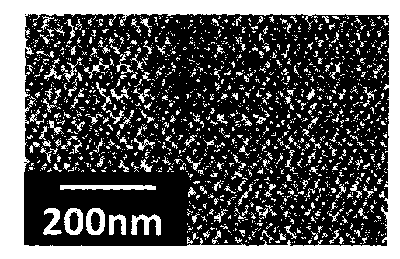 Preparation method of titanium dioxide dense film for dye-sensitized solar cell