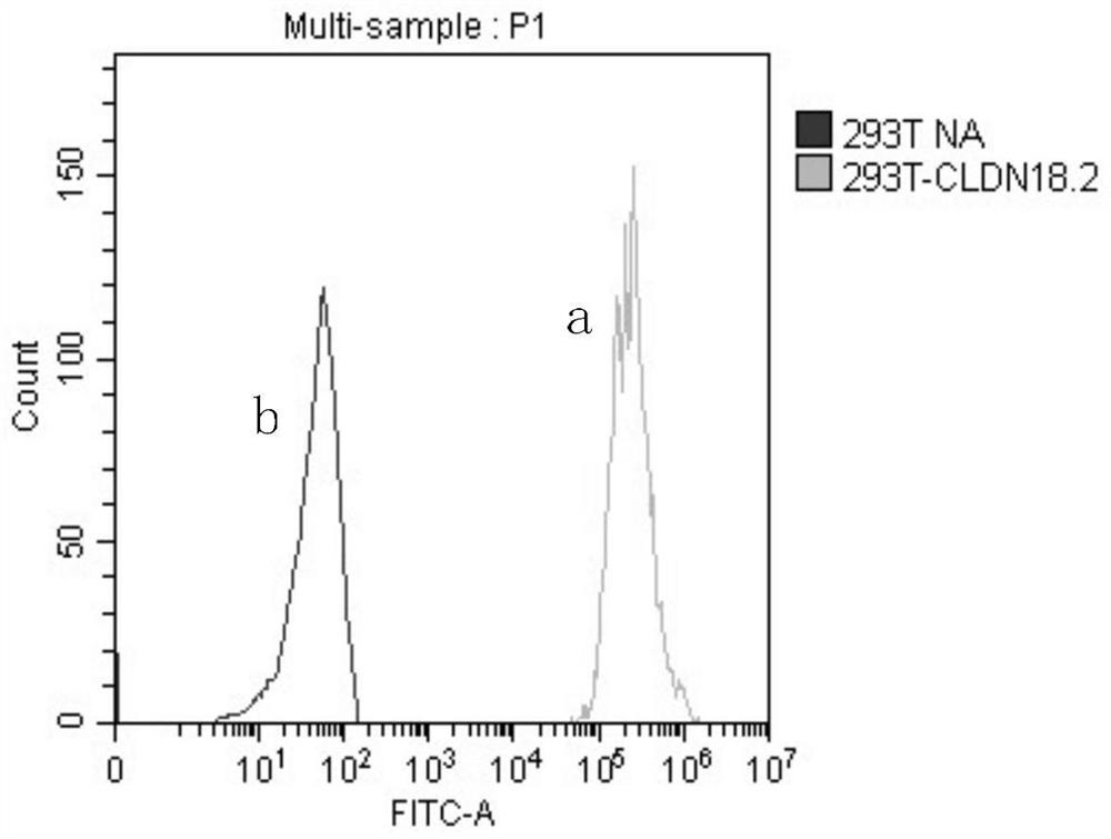 Gene biological agent as well as preparation method and application thereof