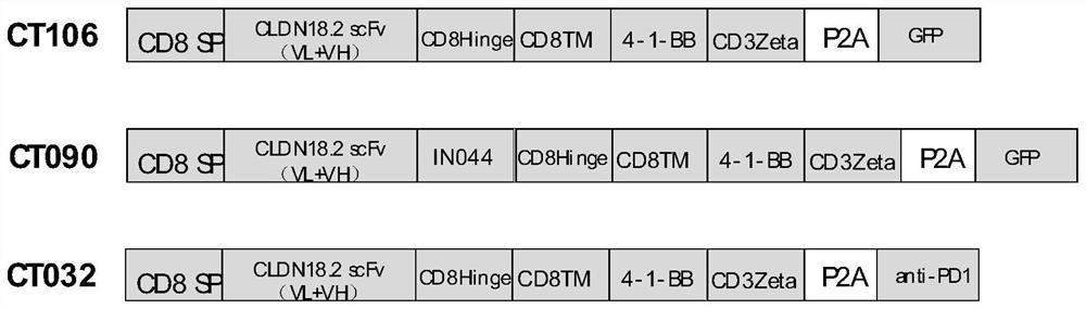 Gene biological agent as well as preparation method and application thereof