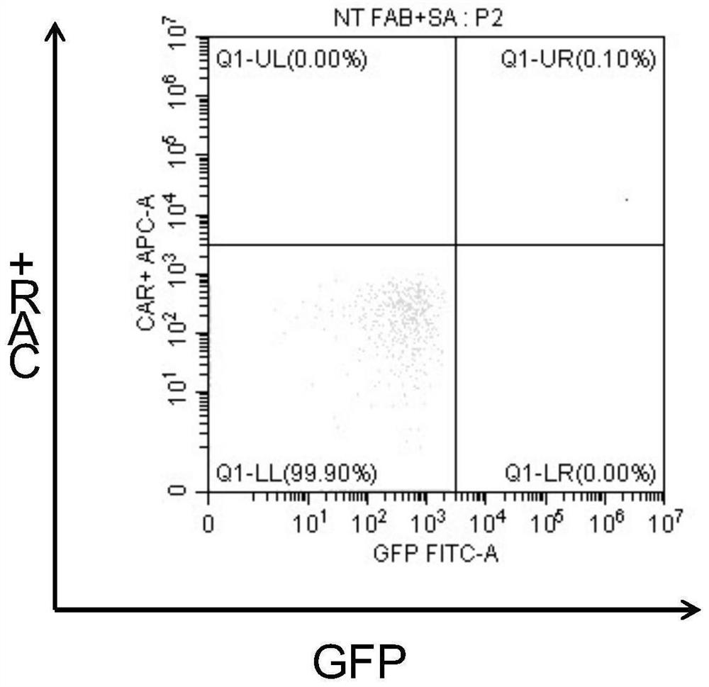 Gene biological agent as well as preparation method and application thereof