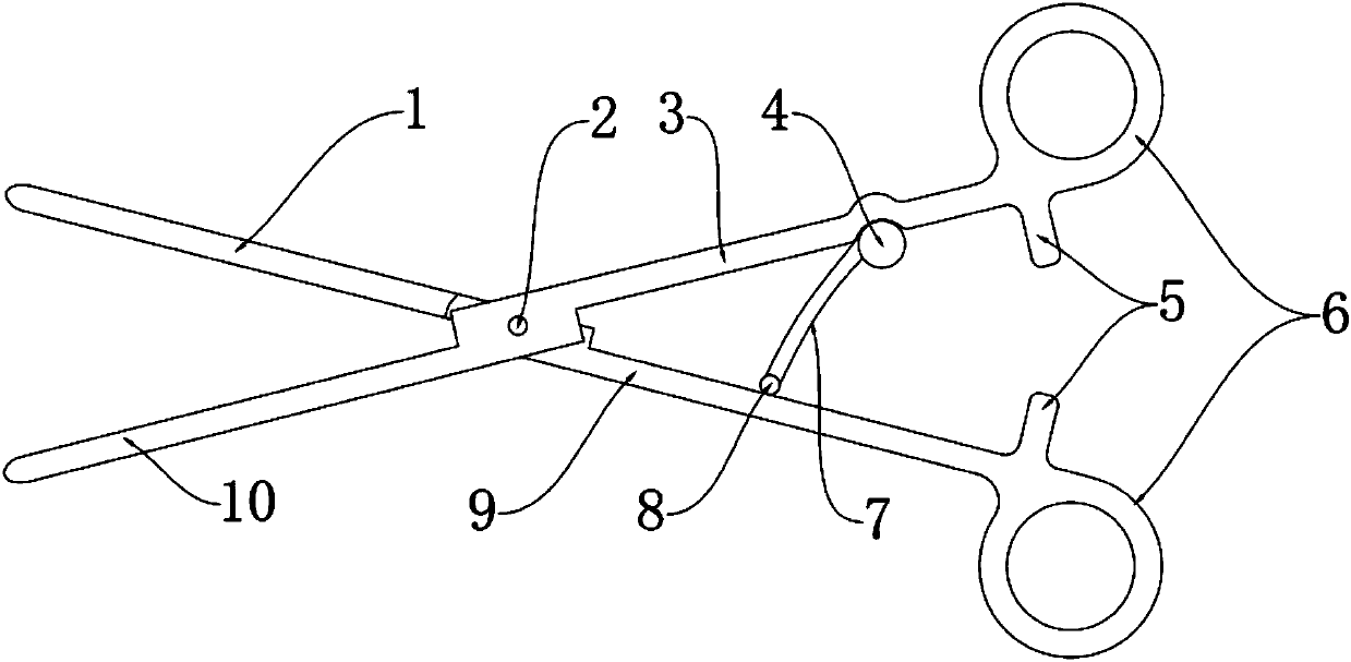 Oval grasping forceps capable of performing elastic automatic returning