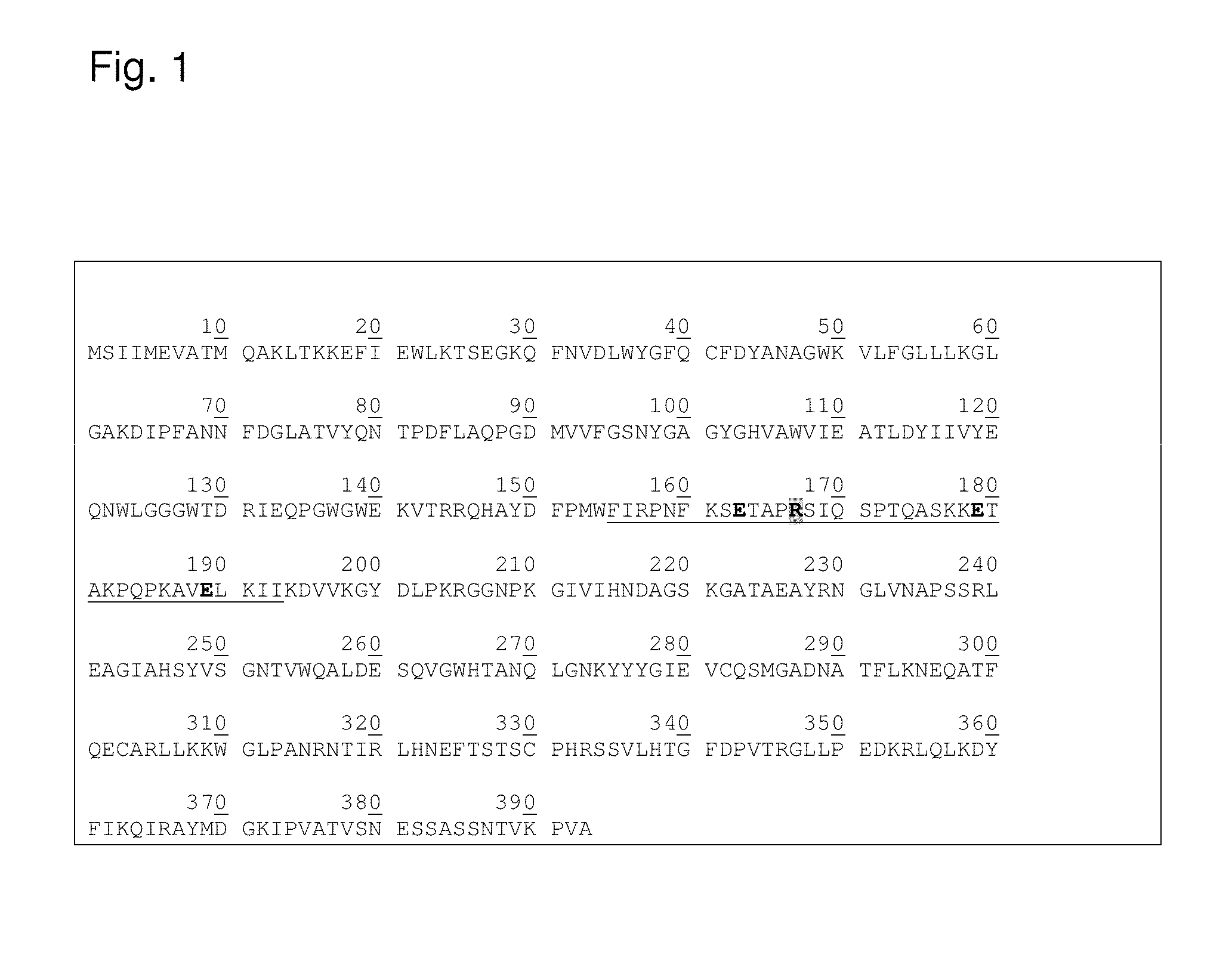 Protease stable cell wall lysing enzymes