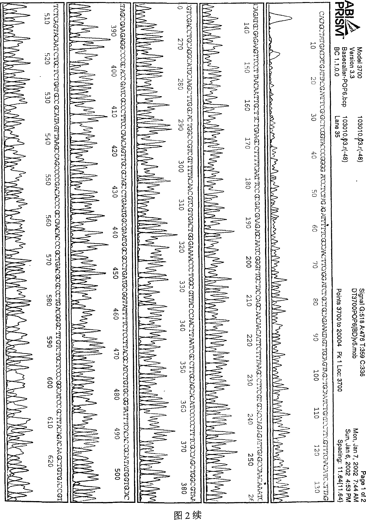 Determination of one section vagina bacillus Gardner DNA sequence (3) specificity and its application