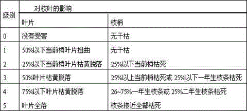 Application of tobacco in control over adult diaphorinacitri kuwayama