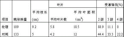 Application of tobacco in control over adult diaphorinacitri kuwayama