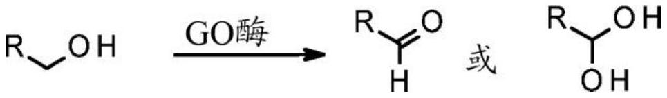 Engineered galactose oxidase variant enzymes