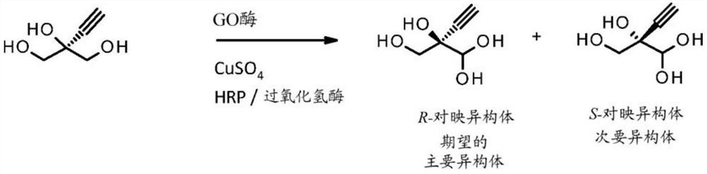 Engineered galactose oxidase variant enzymes