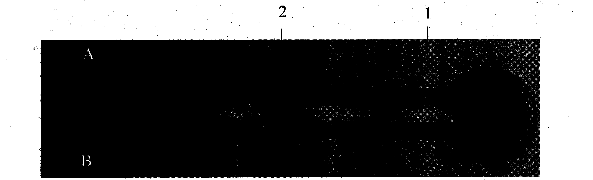 Micron sensing element, and preparation method and application thereof