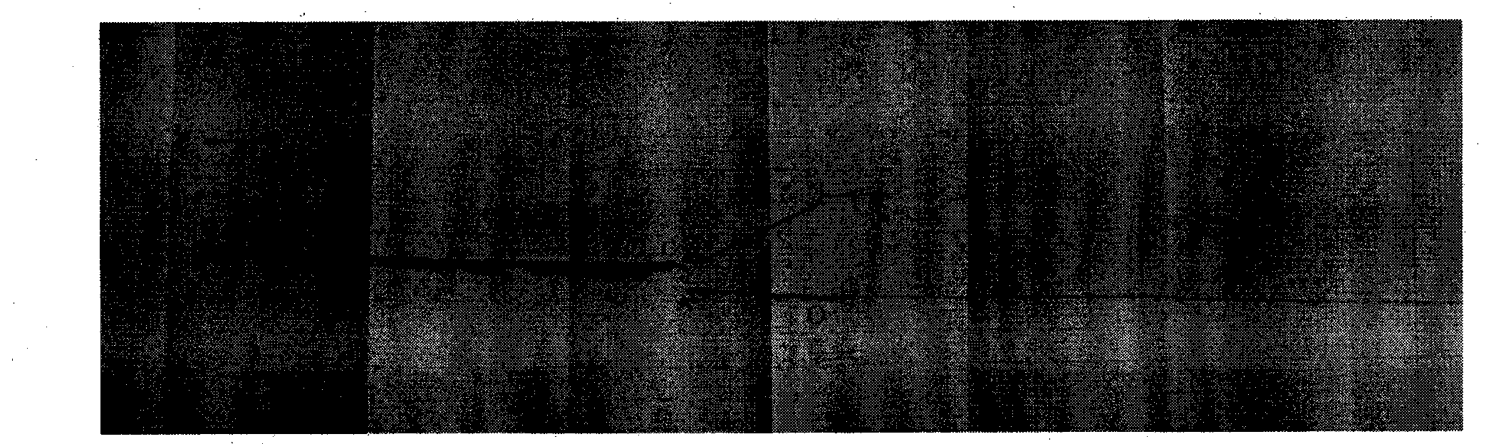 Micron sensing element, and preparation method and application thereof