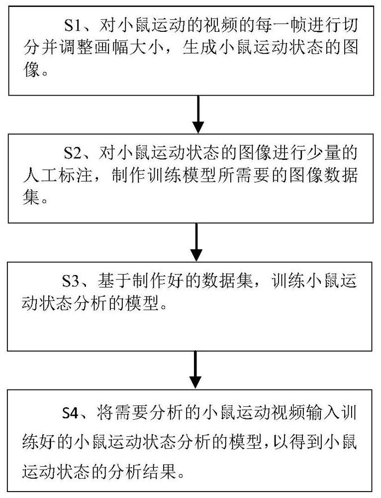 Mouse motion state analysis method based on deep learning algorithm