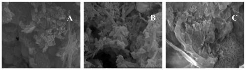 Sludge treatment method of alkali treatment coupled single-chamber microbial electrochemical system