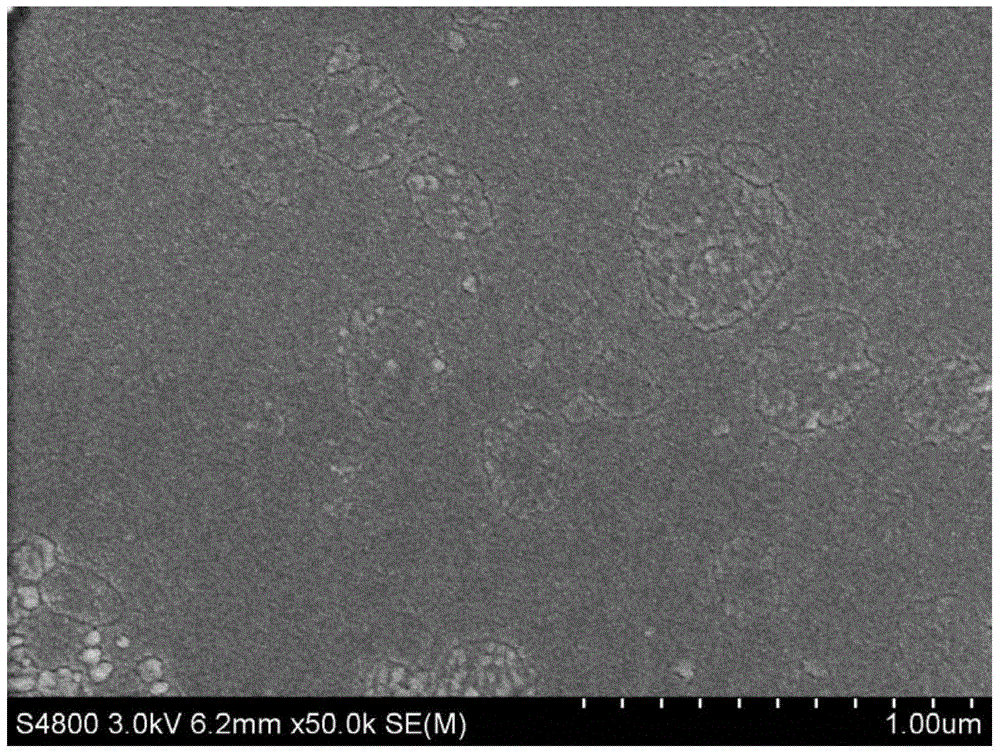 A kind of tb and mn co-doped bifeo3 thin film with high remnant polarization and its preparation method