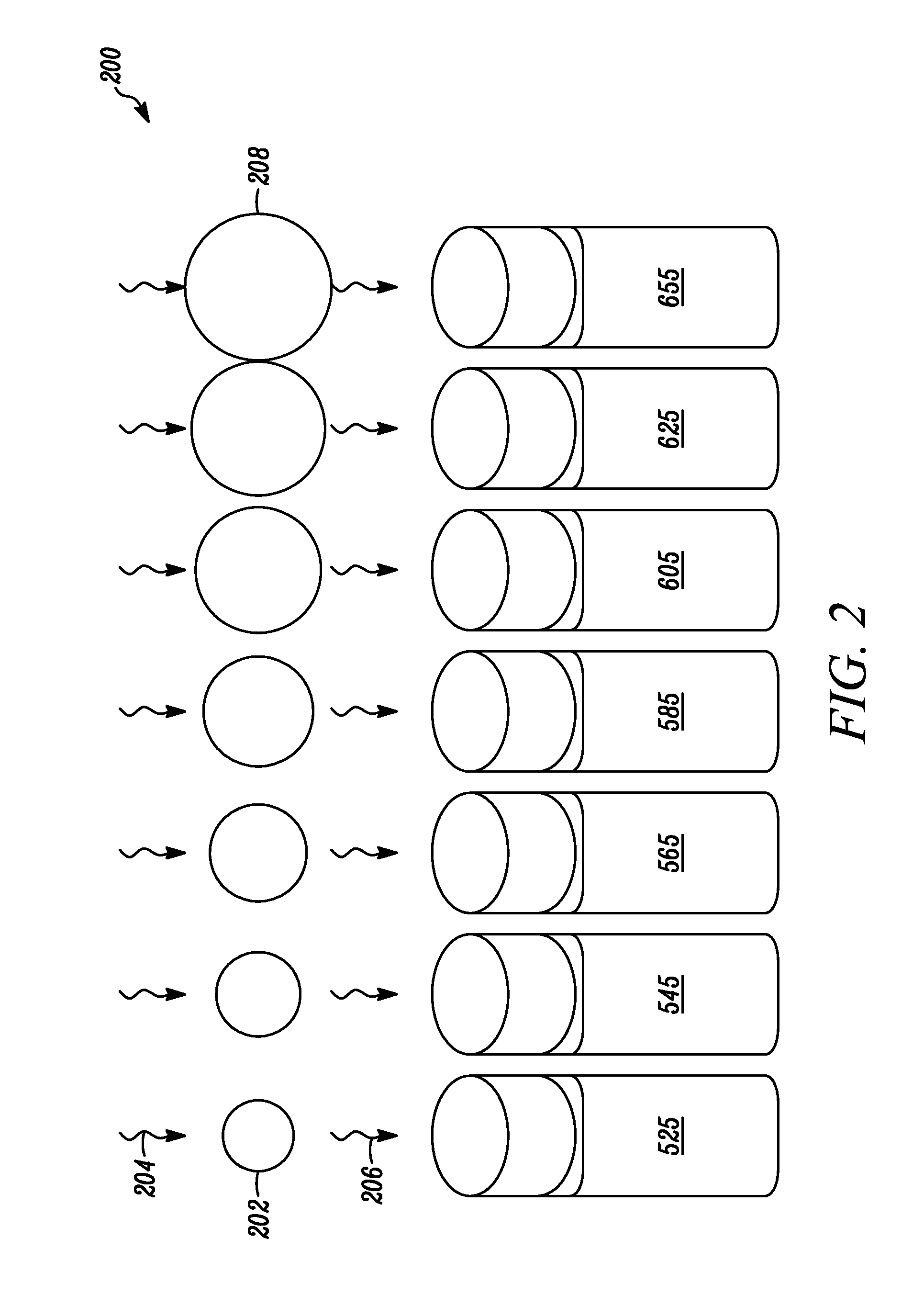 Activation and monitoring of cellular transmembrane potentials